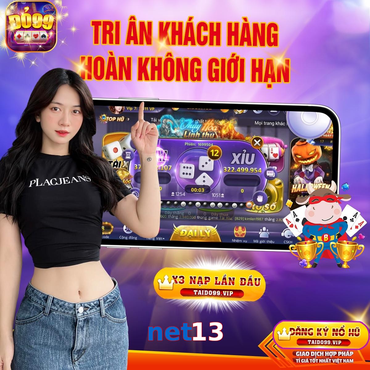 net13