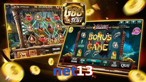net13