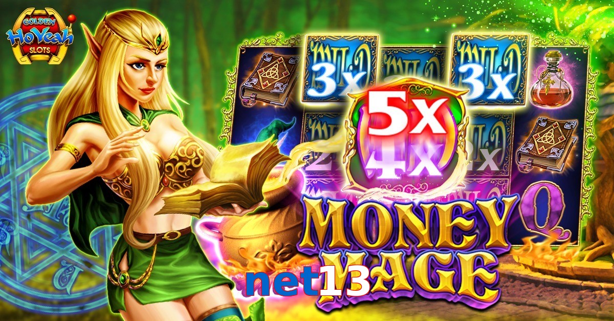 net13