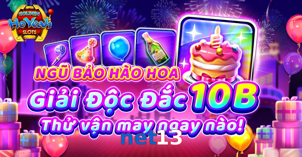 net13