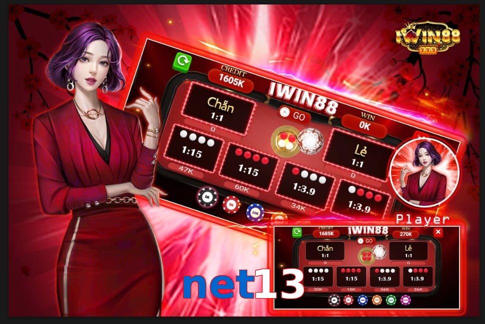 net13