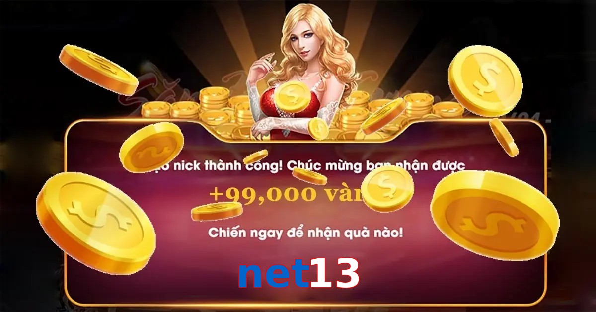 net13