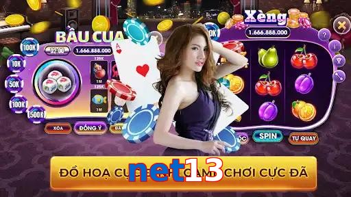 net13