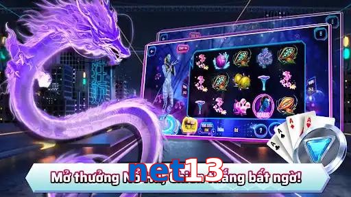 net13