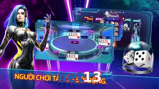 net13