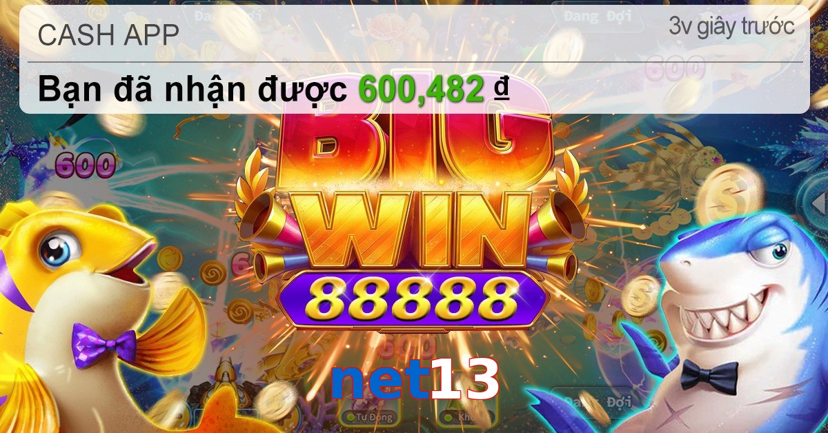 net13