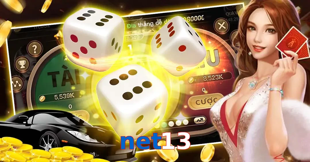 net13