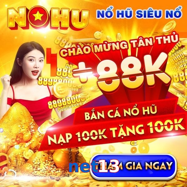 net13