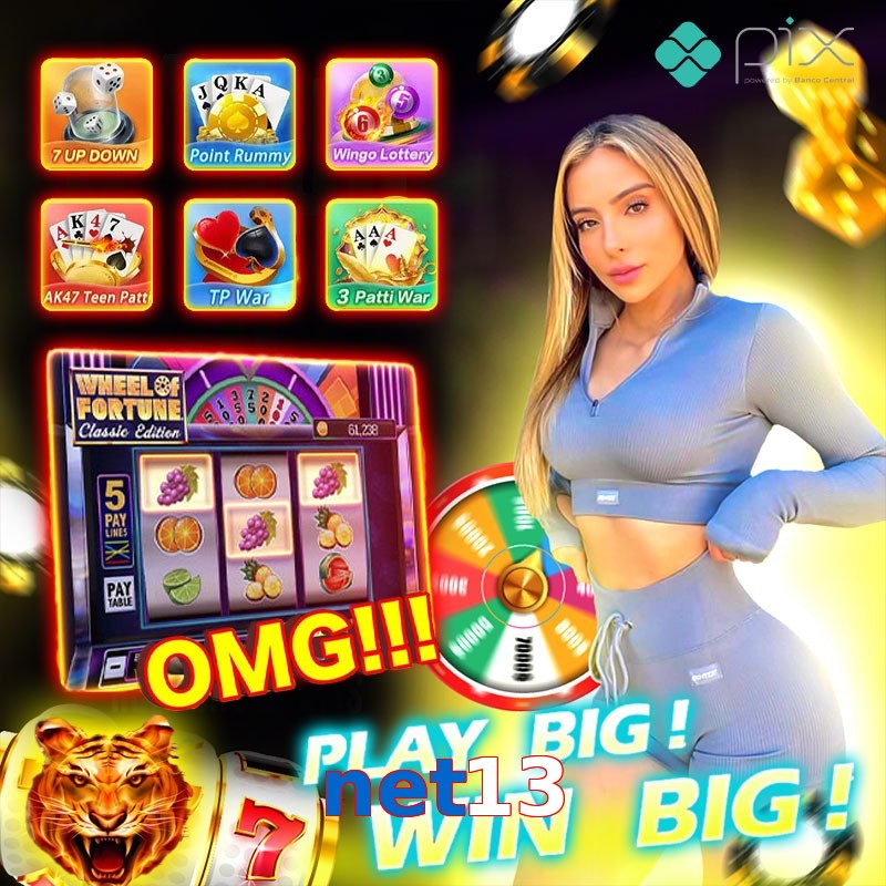 net13