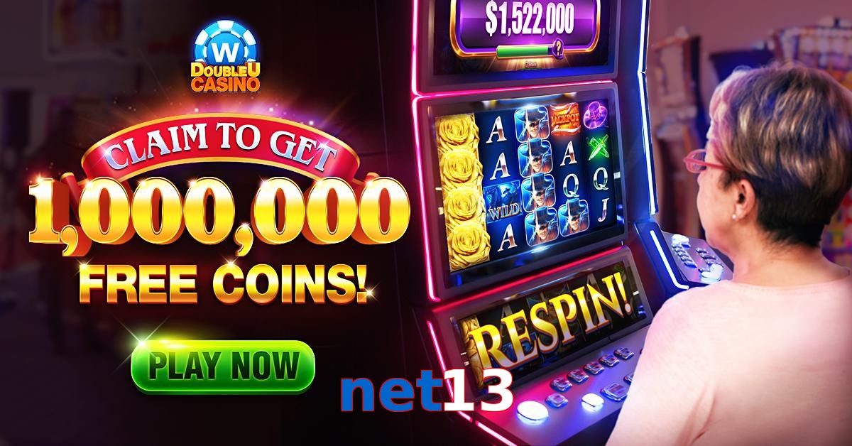 net13