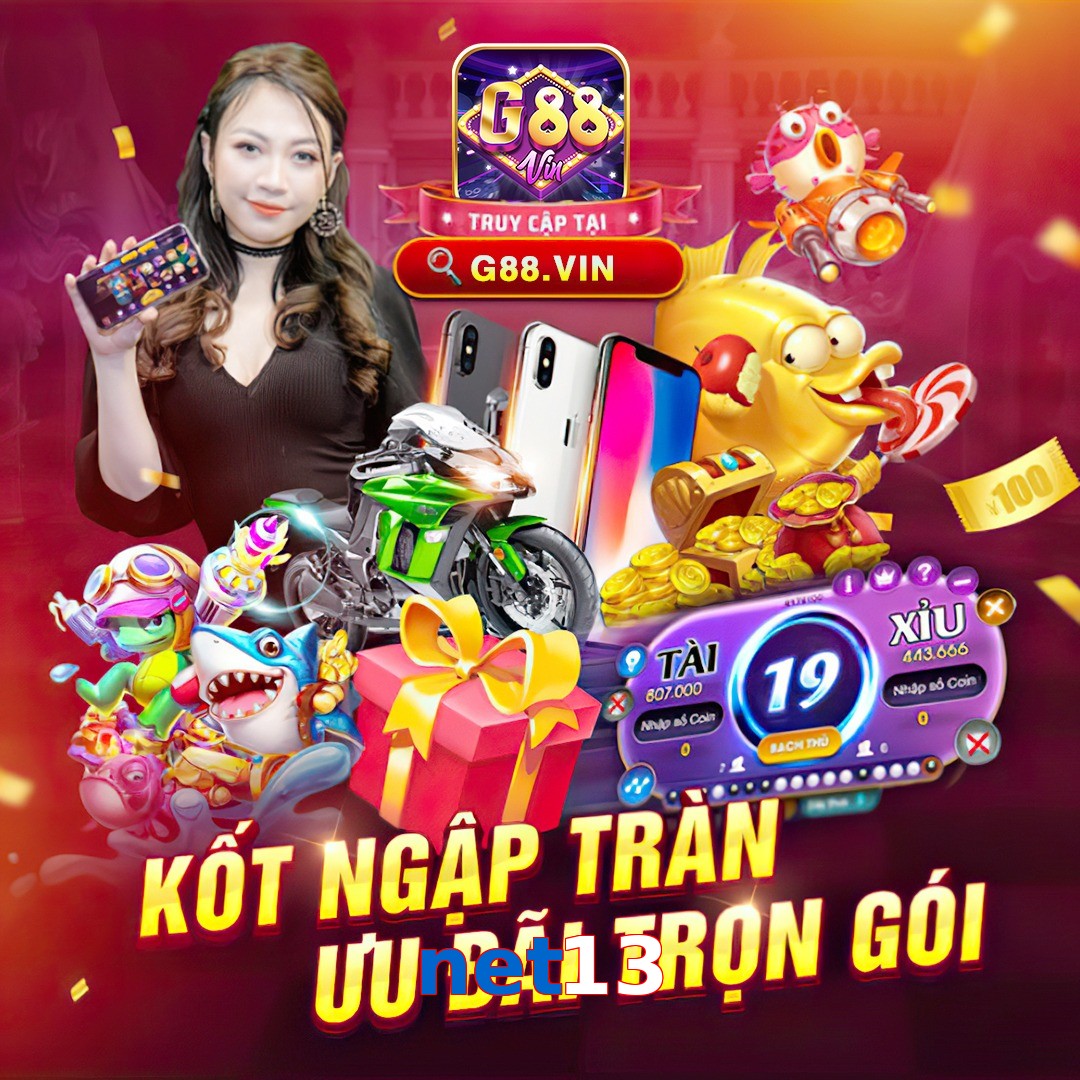 net13