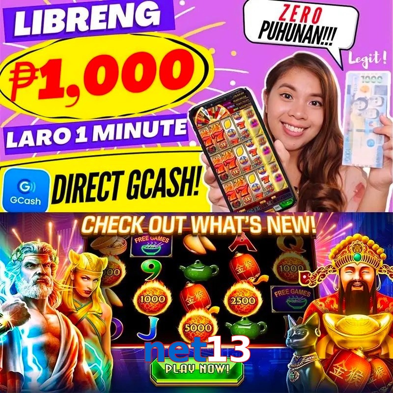 net13
