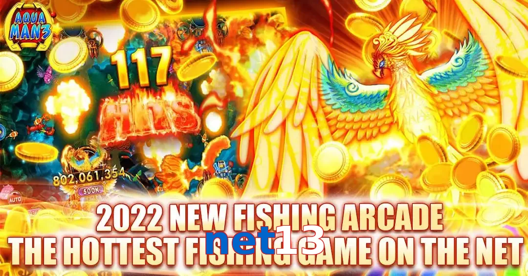 net13