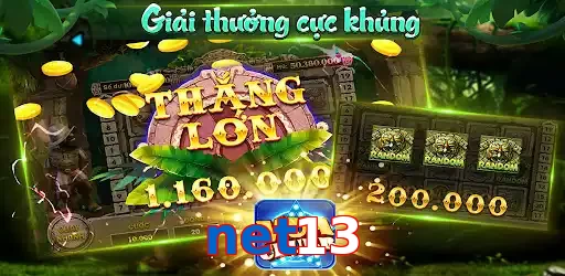 net13