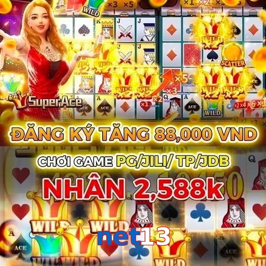 net13