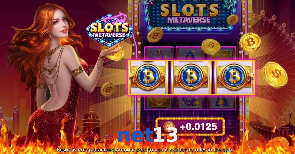 net13