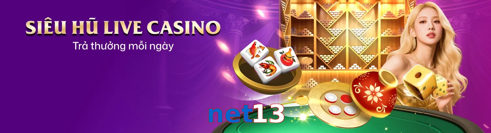 net13