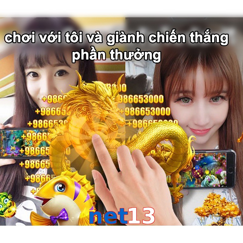 net13