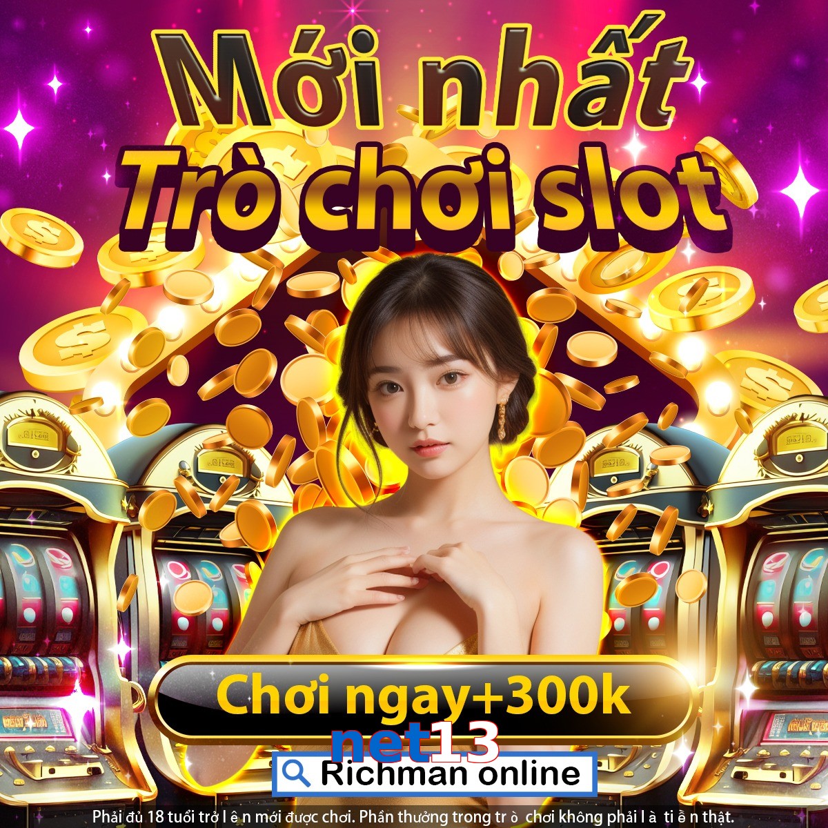net13