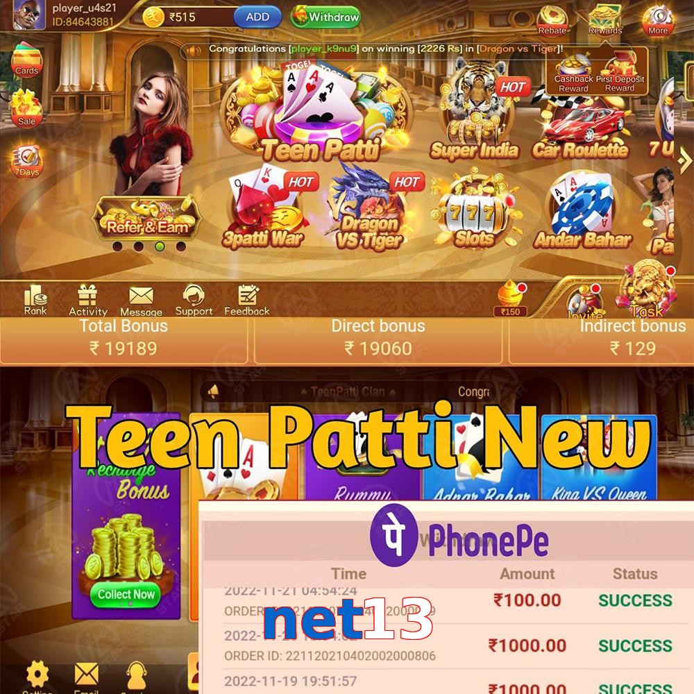 net13