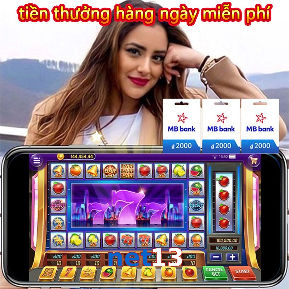 net13