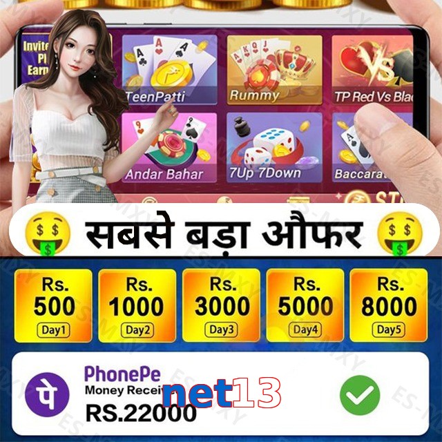 net13