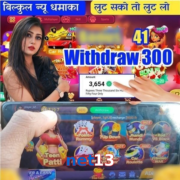 net13