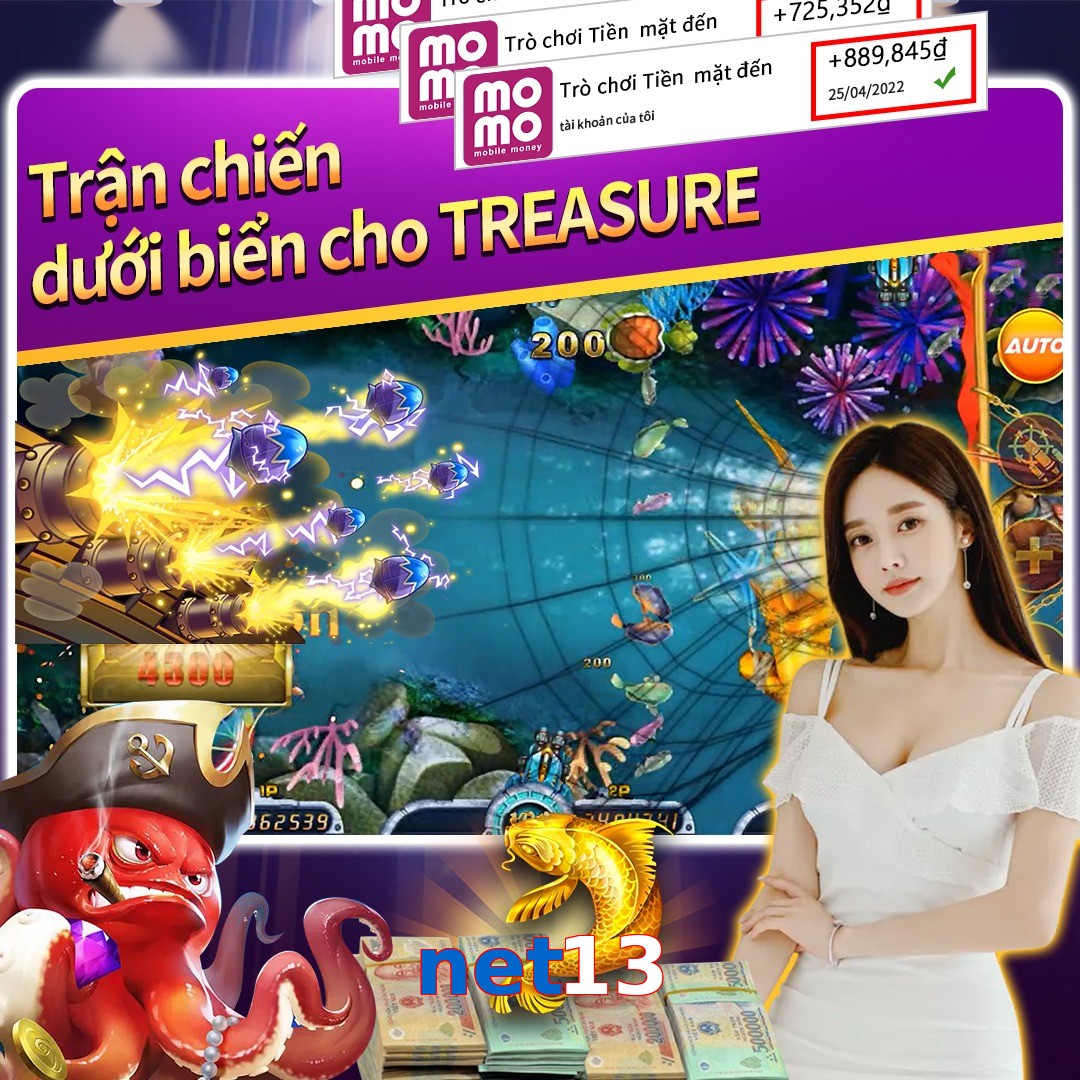 net13