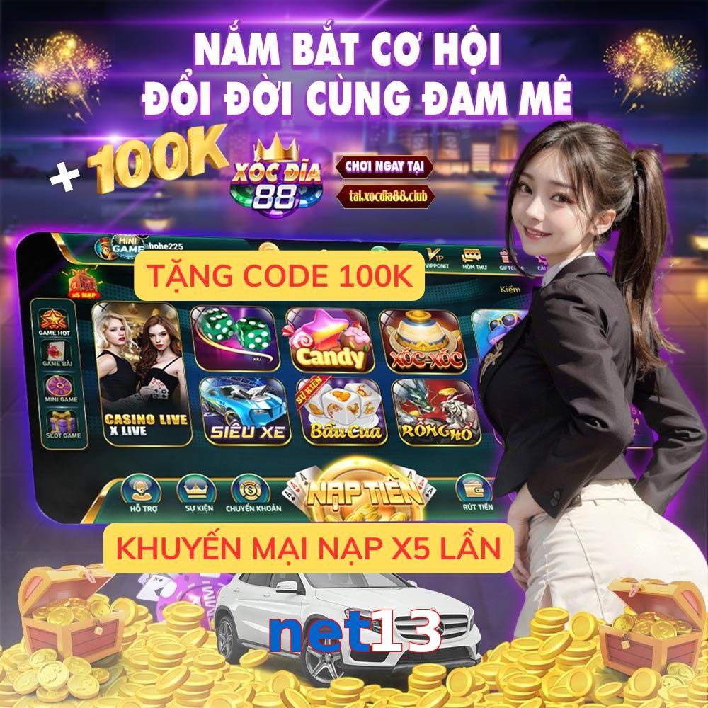 net13