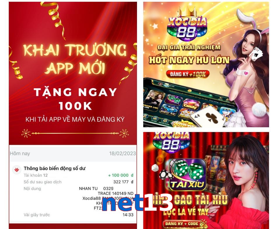 net13